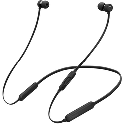 BeatsX